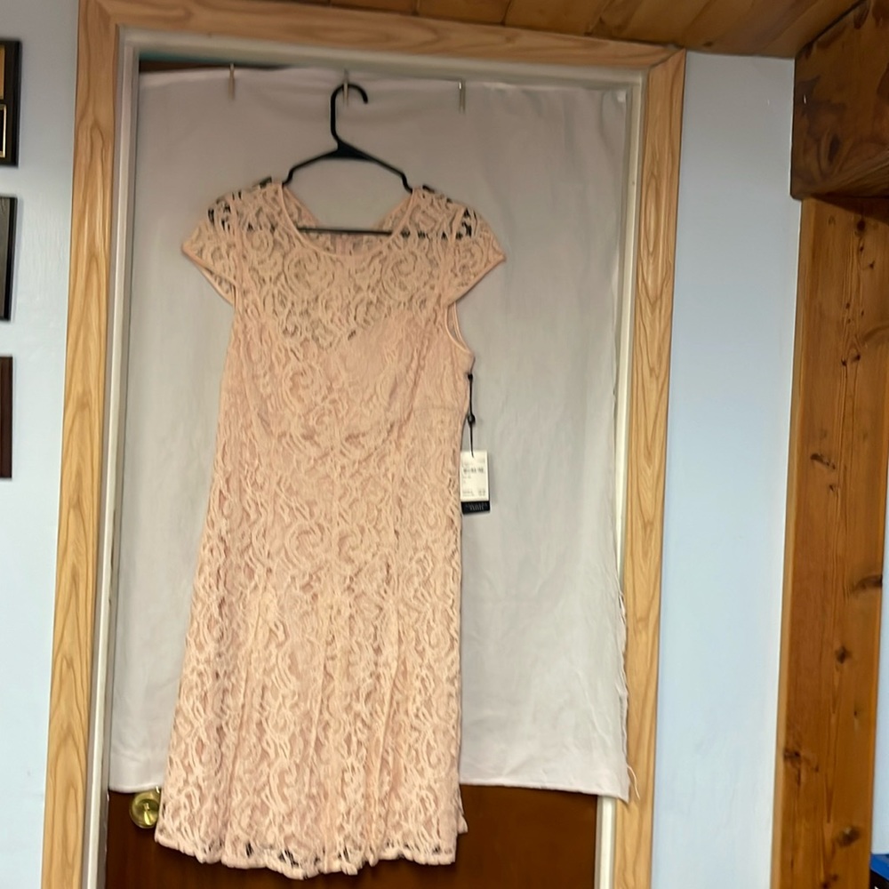 NWT.       Adrianna Papell Lace Fit & Flare Dress.